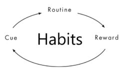 Building Habits